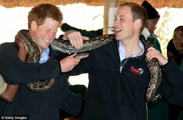 prince harry and william 2009. William to Harry: put the